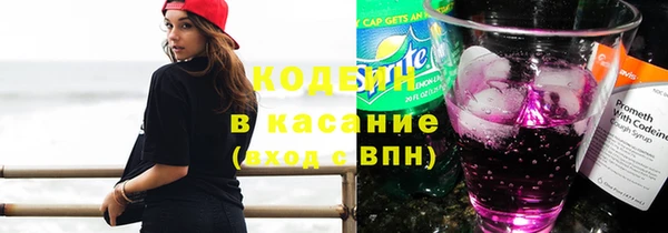 индика Алексин