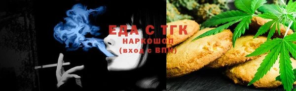 индика Алексин