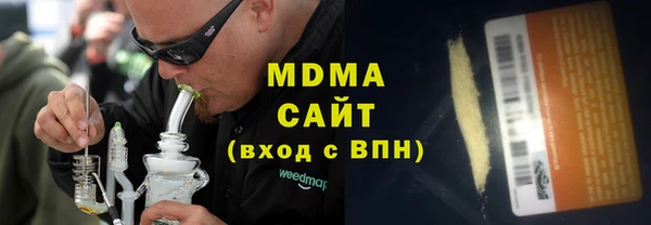 индика Алексин