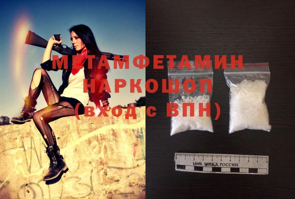 индика Алексин