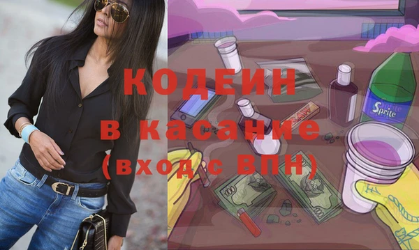 индика Алексин