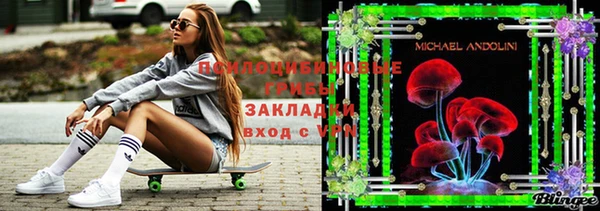 дживик Алзамай