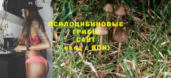 дживик Алзамай