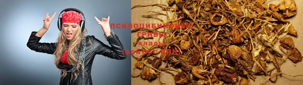 мескалин Алексеевка